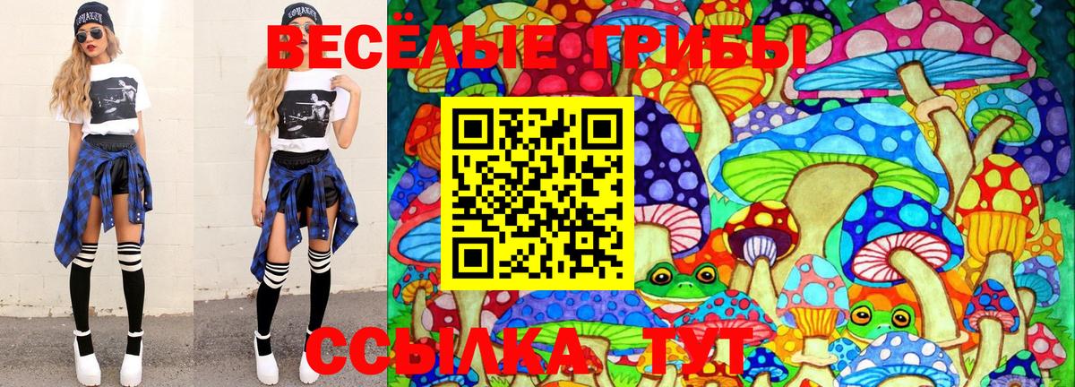 Галлюциногенные грибы мицелий  Вход с VPN  Саранск 